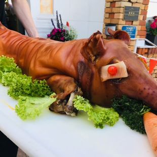 Hotel Wittelsbacher Höh Mohr Gastro GmbH