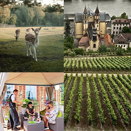 Erlebniswoche in Würzburg für Groß und Klein