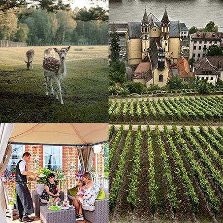 Erlebniswoche in Würzburg für Groß und Klein