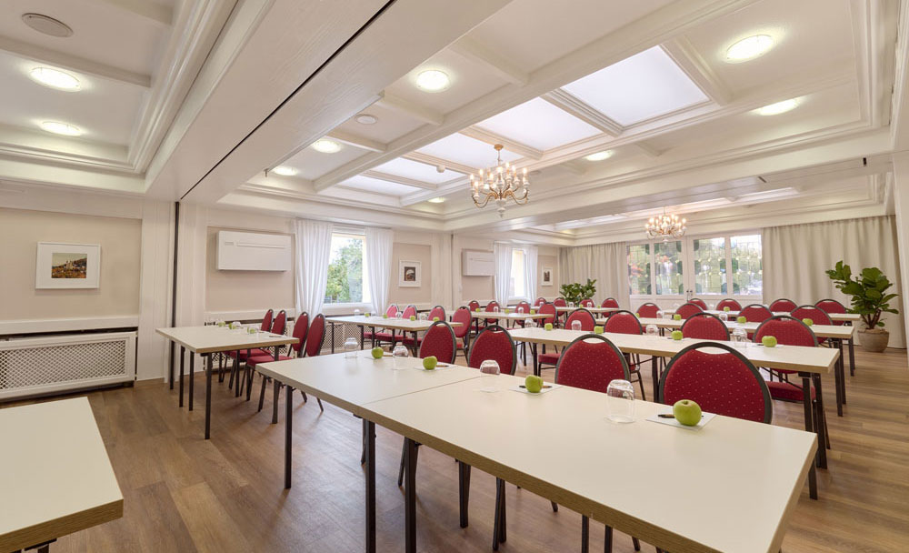 Wellington-Saal-fr-Tagung-gerichtet__msi___jpg