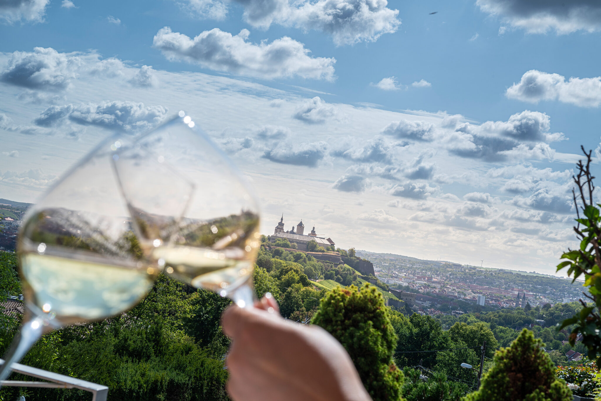 Wittelsbacher Höh - sl Wein 2026